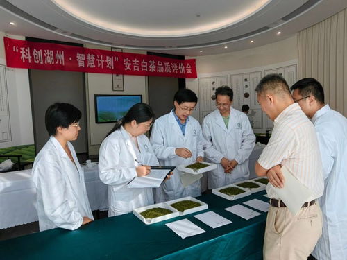 科創(chuàng)湖州 智慧計劃——中國茶葉學會茶產業(yè)服務團走進安吉活動策劃方案